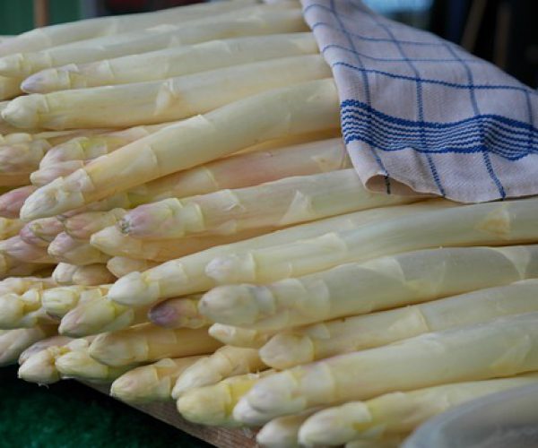 asparagus-823785_640